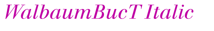 WalbaumBucT Italic